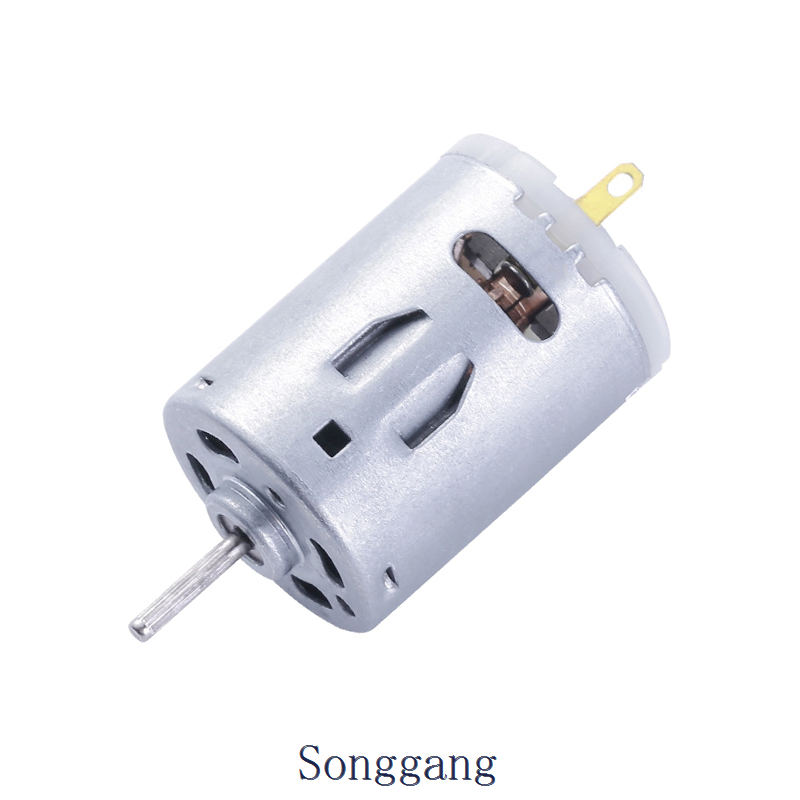 12V 12000RPM CCW RS385ST-2756-62 DC Motor Diameter 29.2 mm for Hair Dryer