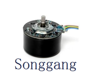 55mm Low Noise High Torque And Speed Bldc Brushless Motor Bl5530 BL5530O 50W Outrunner Brushless Motor 3000rpm for Massager