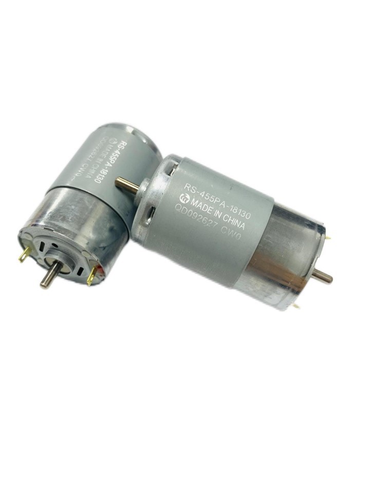 RS 455PA 18130 Dc Motor 12v 24v 2200rpm