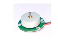 Smart Home Motor 37mm BLDC3717o Brushless DC Motor 12V 24V Multi-function Built-in Drive IE4